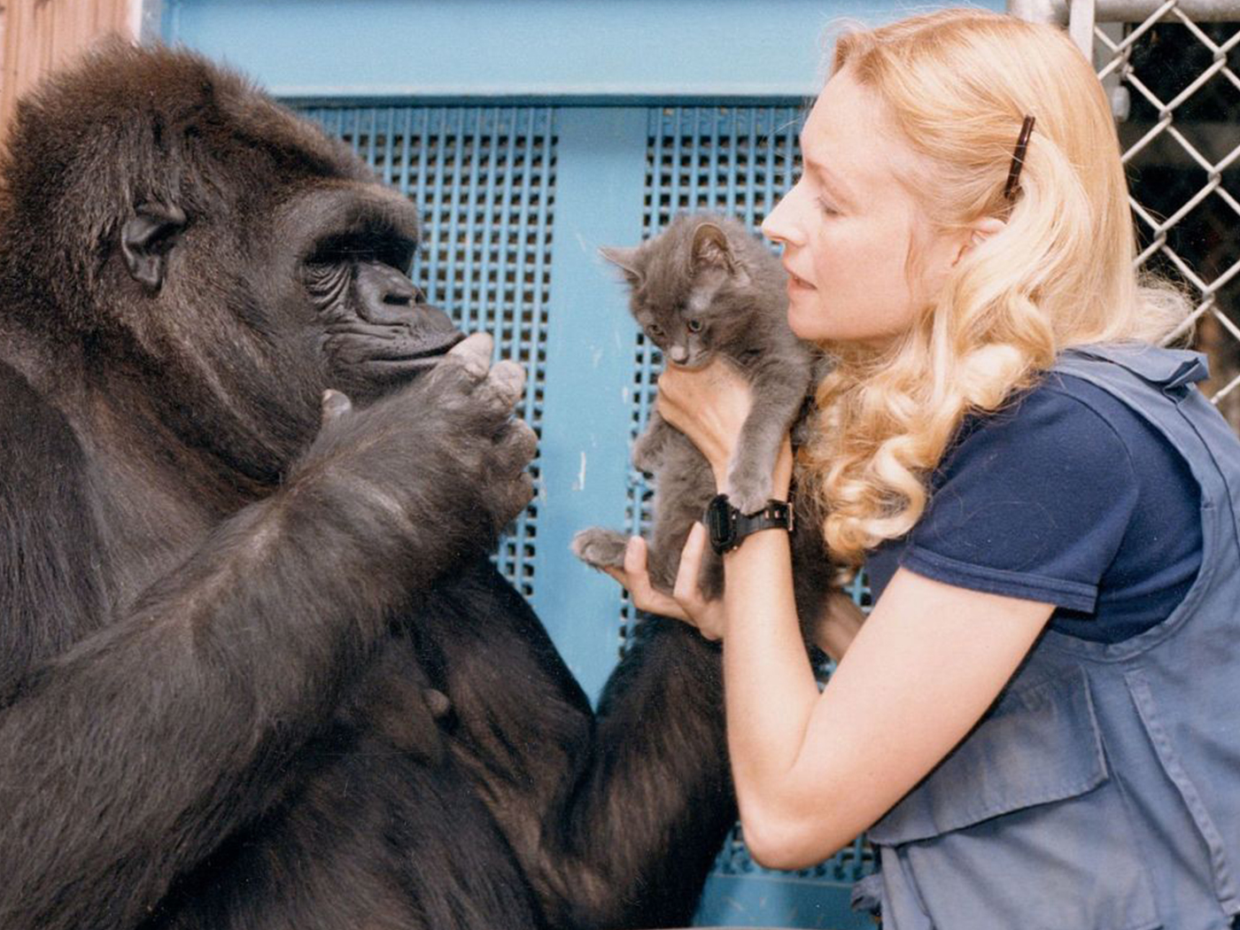 The Talking Ape Who Couldn