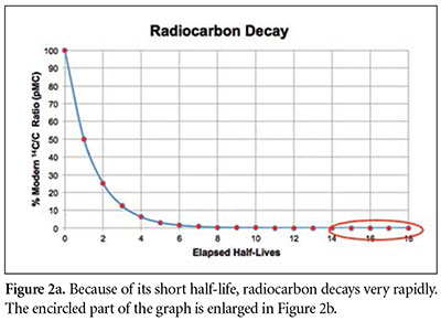Radiocarbon Dating Results
