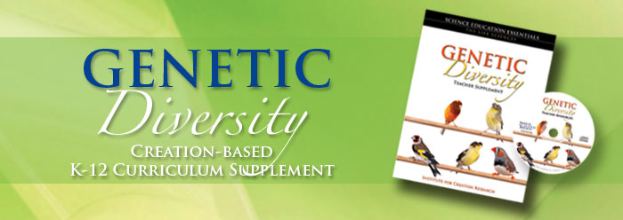 ebook Biophysics of the Pancreatic