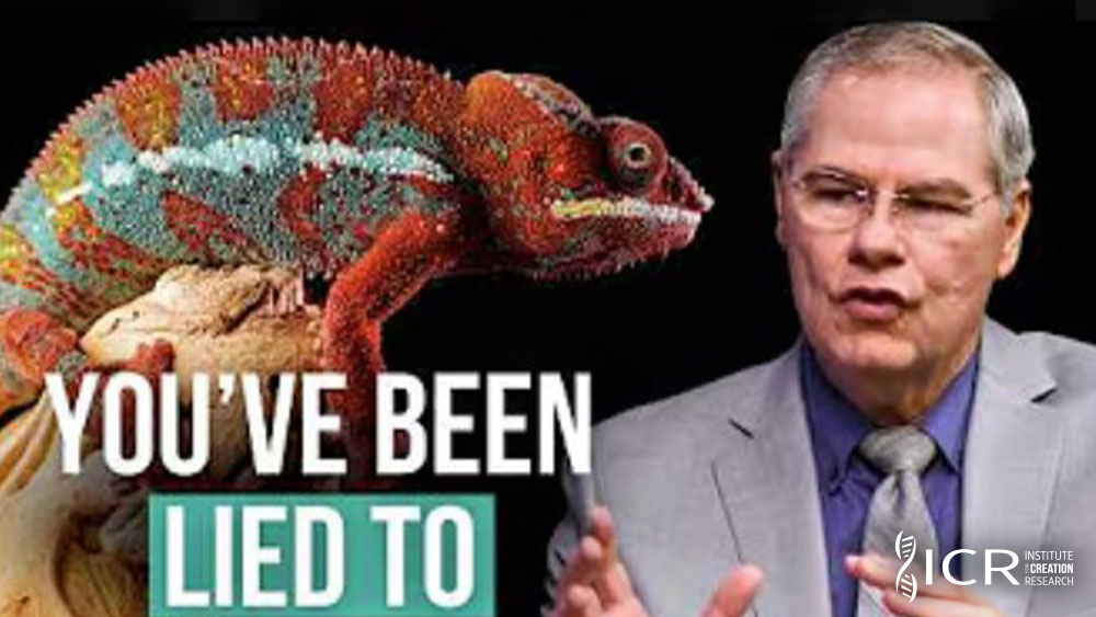 Christian Engineer: This Is the BIGGEST Misconception About Organisms
