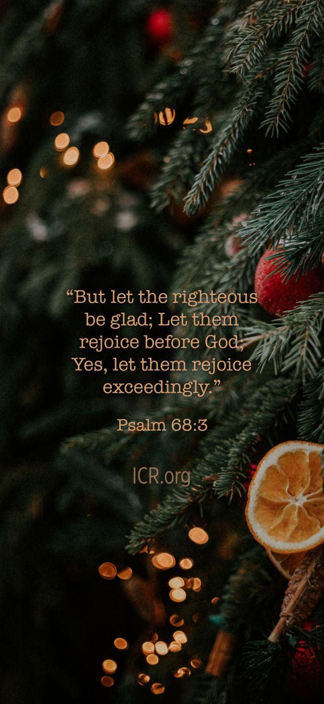 Christmas Bible Quotes. QuotesGram