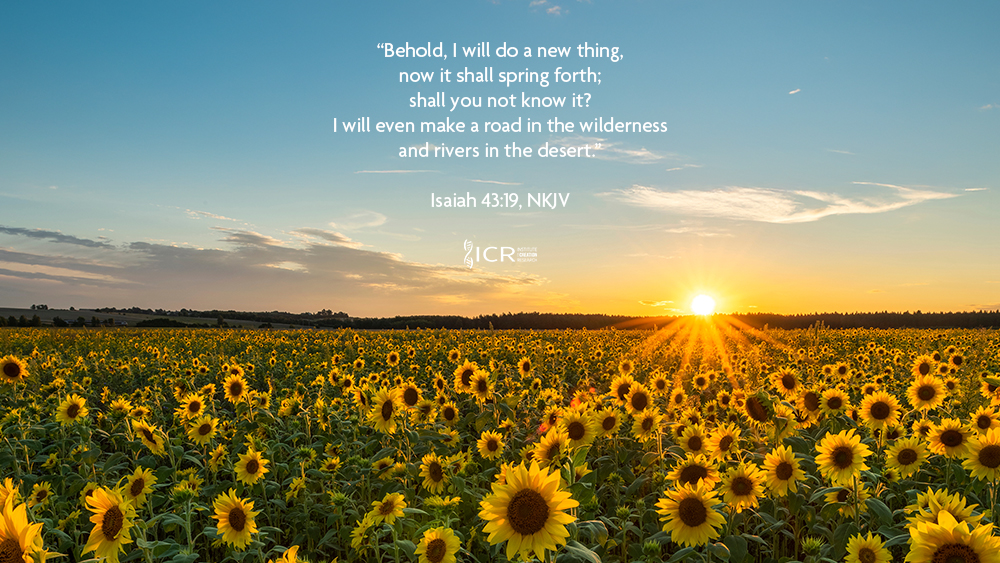 March 2026 ICR Wallpaper