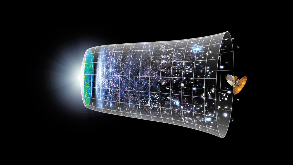 An image of Charles Darwin