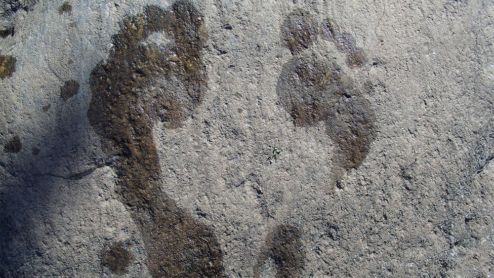 Fossil Footprints Fit Flood Ice-Age Model