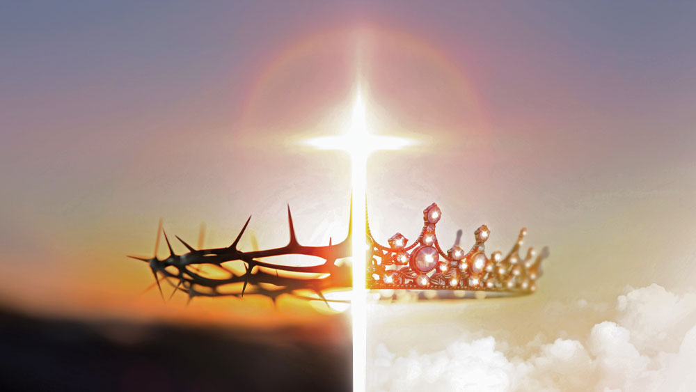 Extent of the Curse and the Hope of Redemption