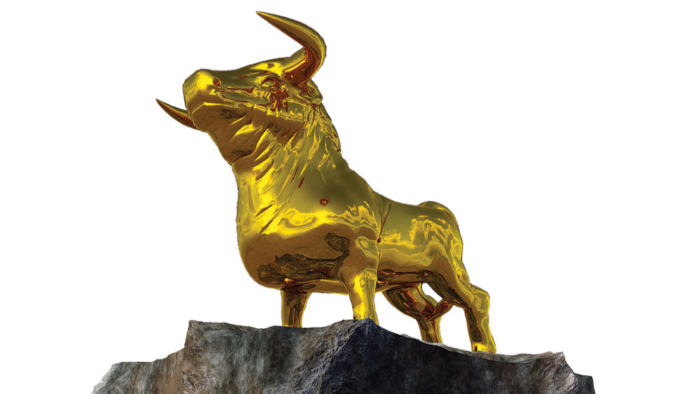 Modern Idolatry: Crediting Natural Selection as the Creator