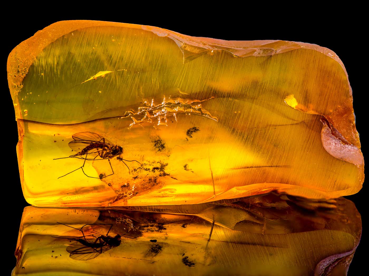 Orange Amber Stone With Insects, Large Thick Amber Resin Small