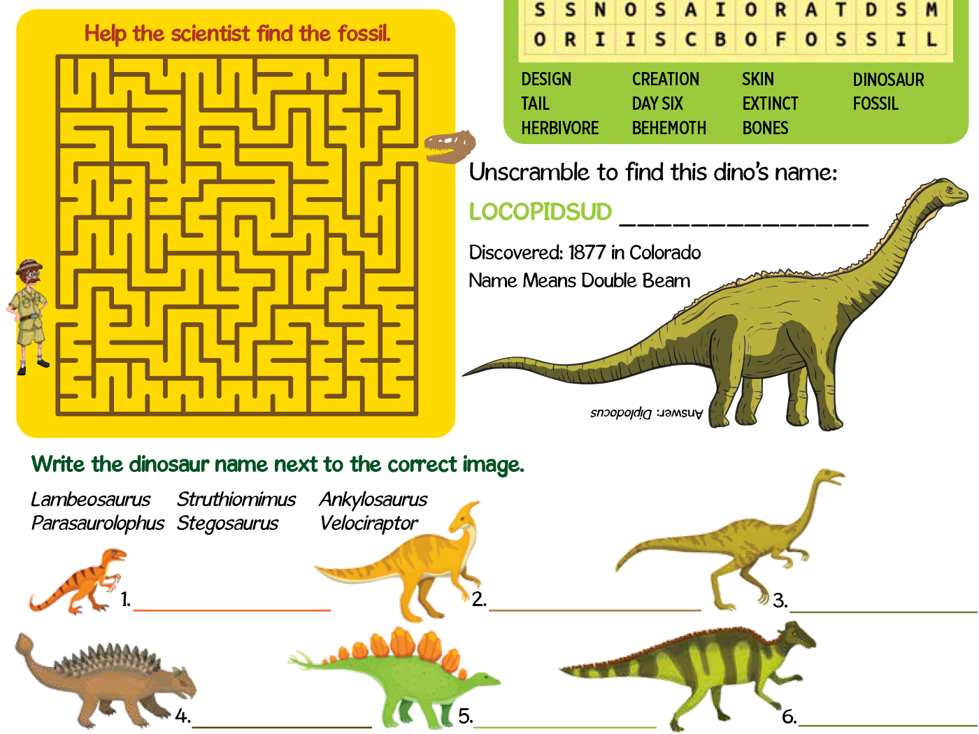 Dinosaur game KS1 - Primary school science - Learn about Cretaceous and  Jurassic period - Dinosaur Discovery - BBC Bitesize