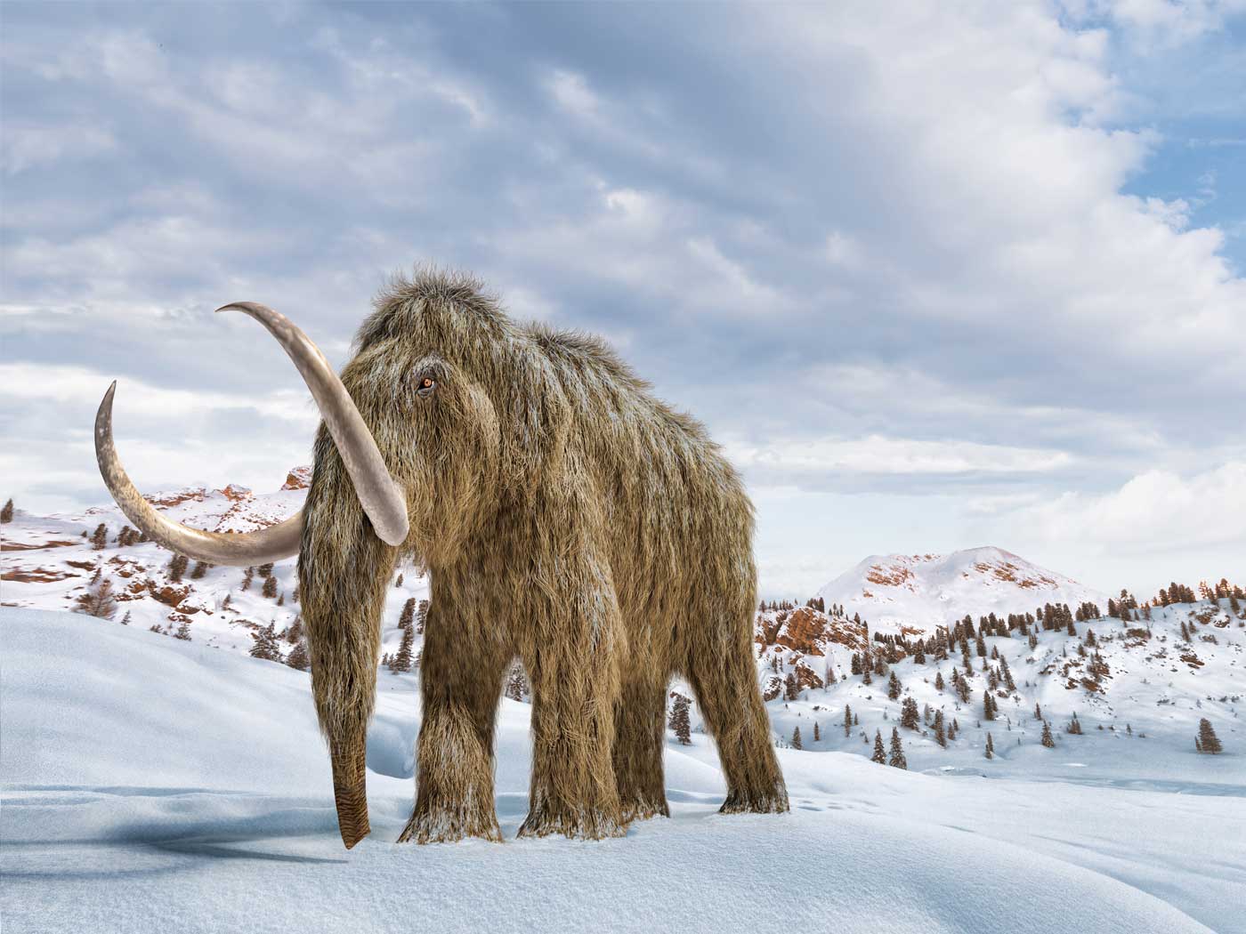 Mammoth DNA: The Oldest Ever Found? | 