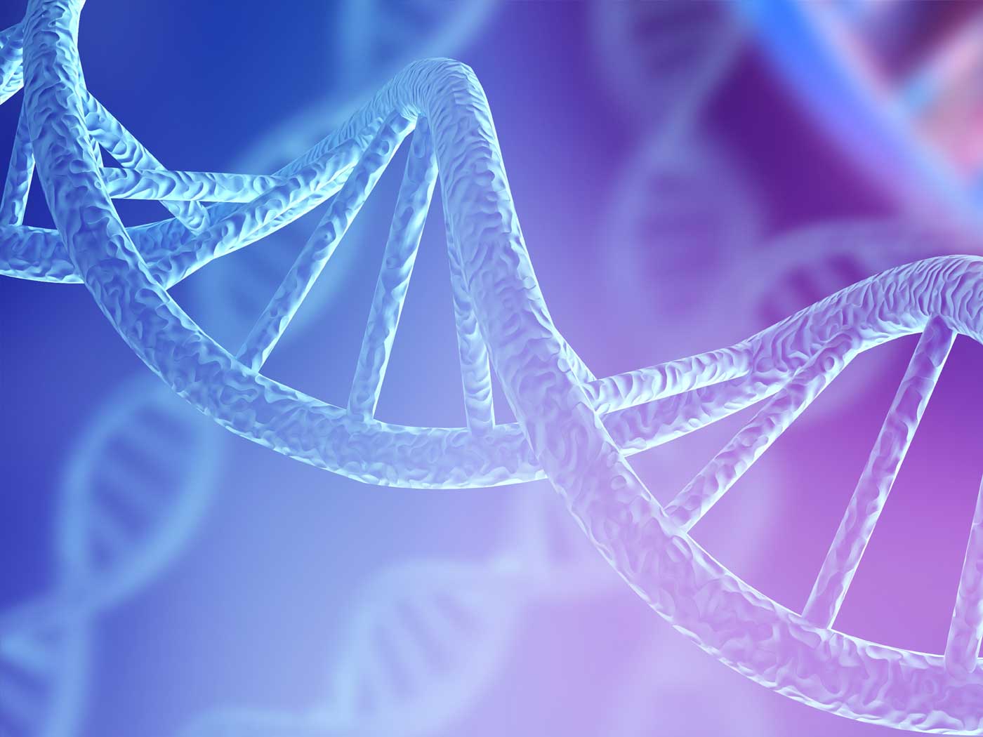 Spider gene study reveals tangled evolution