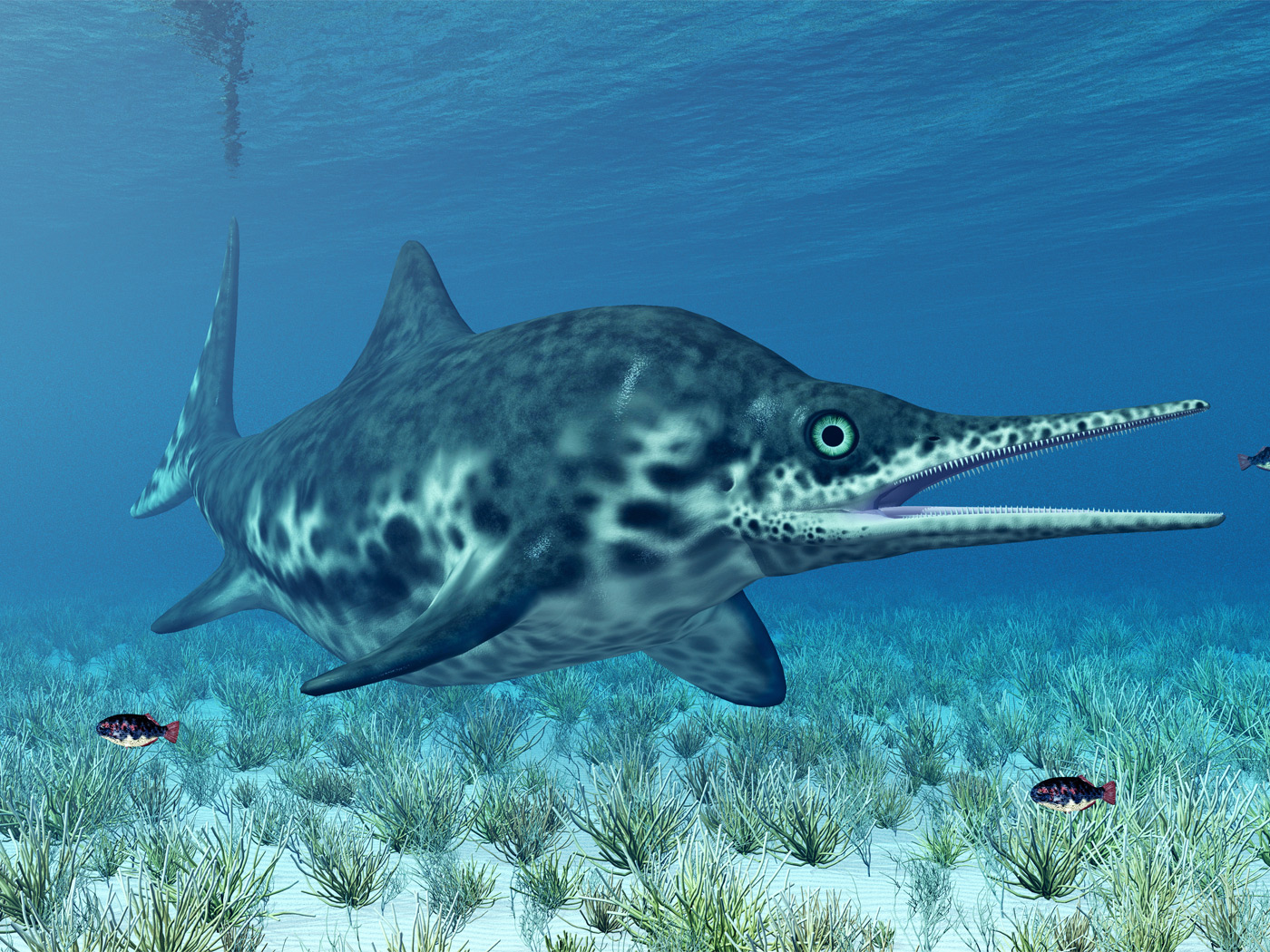 A Giant Ichthyosaur: Largest Ever Marine Reptile?