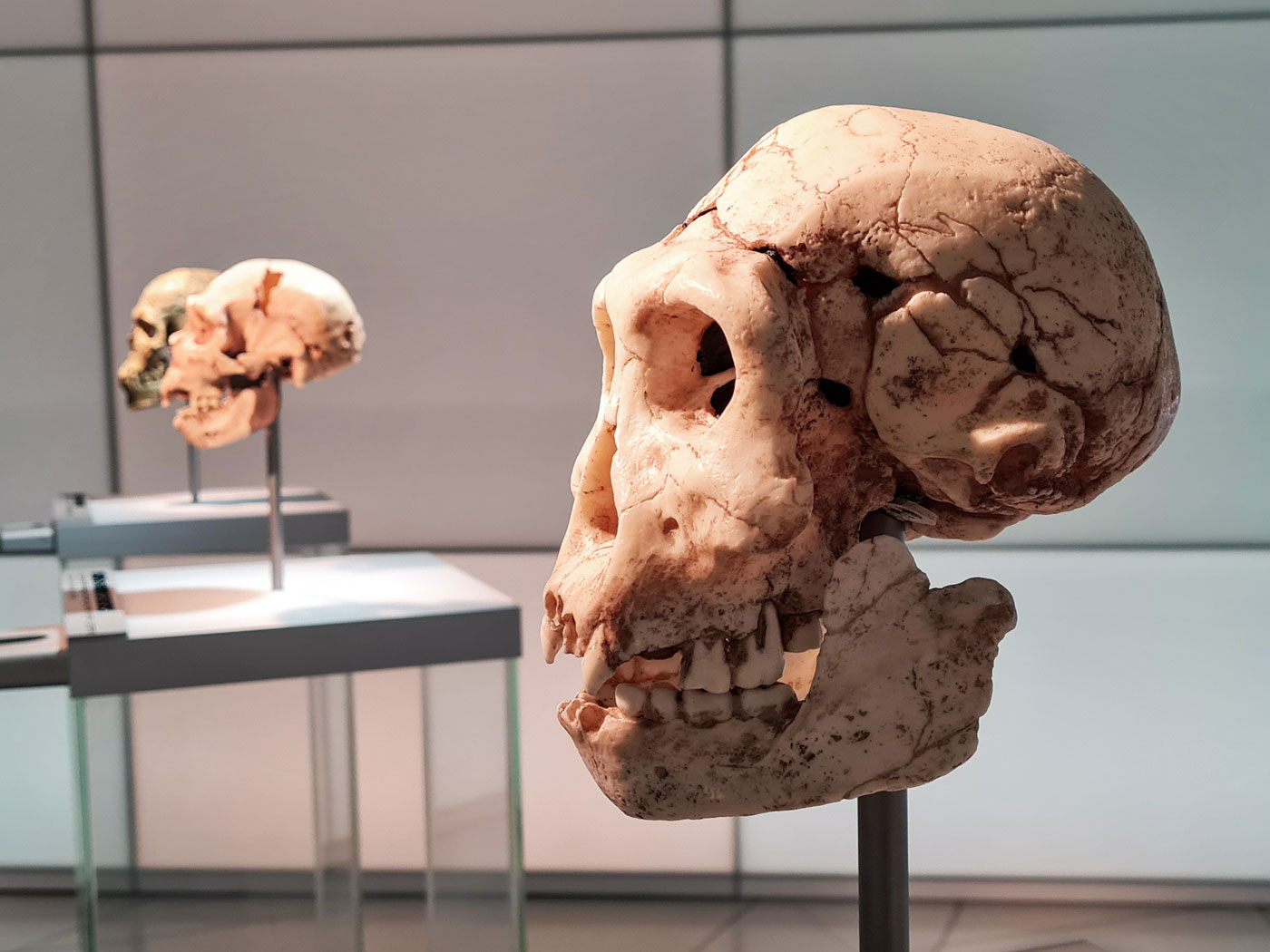 Twenty Evolutionary Blunders - Institute for Creation Research