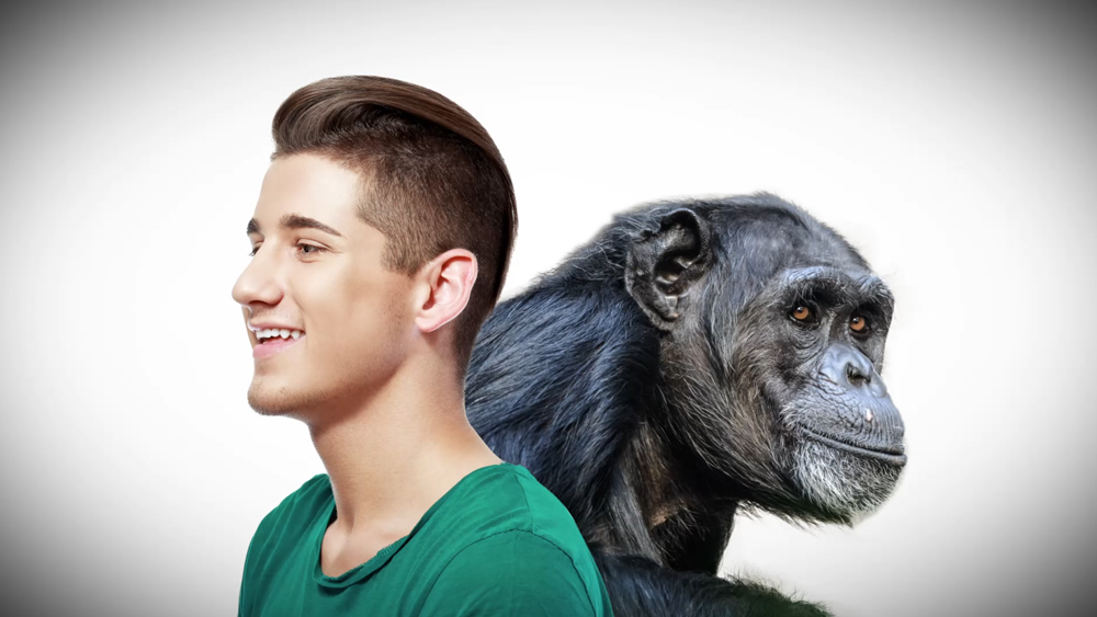 That's a Fact | Chimp DNA Thumbnail