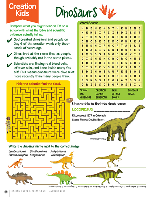 Dinosaur Creation Kids Activity Page