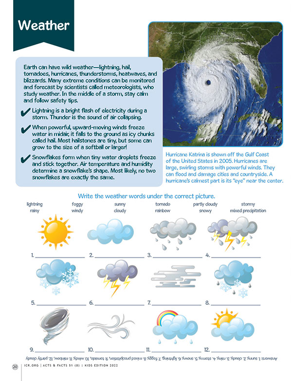 Weather Activity Pages