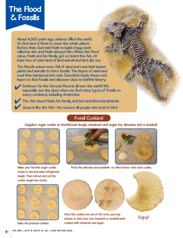 The Flood & Fossils Activity Pages