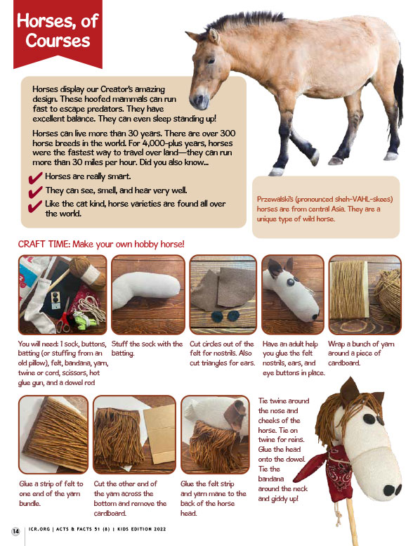 Horses, of Courses Activity Pages