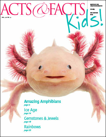  Acts & Facts Kids Edition 2023