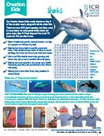 Sharks Creation Kids Activity Page