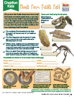 Floods Form Fossils Fast Creation Kids Activity Page