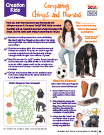 Comparing Chimps and Humans Creation Kids Activity Page
