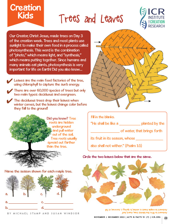 Trees and Leaves Creation Kids Activity Page