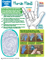Human Hands Creation Kids Activity Page