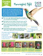 Hummingbird Flight Creation Kids Activity Page