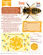 Bees Creation Kids Activity Page