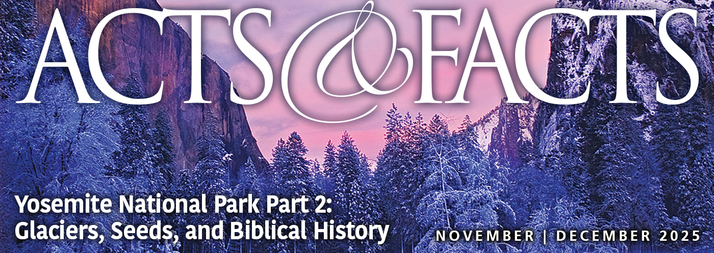 November-December 2025