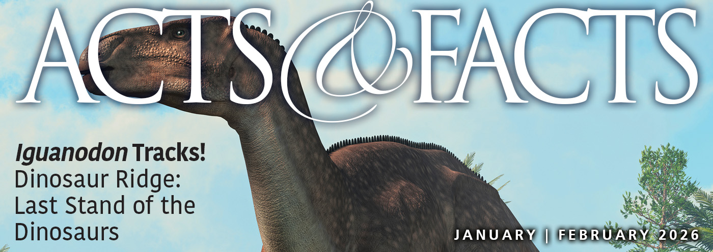 January-February 2026