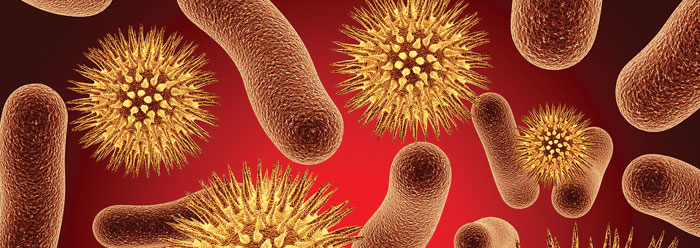 Antibiotic Resistance in Bacteria Shows Adaptive Design