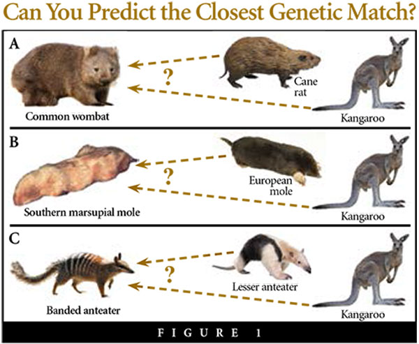 new findings in evolution research