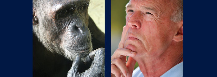 Human-Chimp Genetic Similarity: Is the Evolutionary Dogma Valid? | The