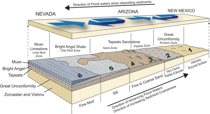 deposition of sediments diagram