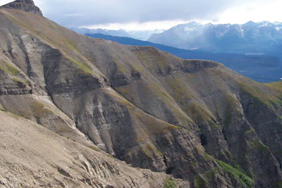 MacColl Ridge Conglomerate Bed #7. Image courtesy of Steve Austin