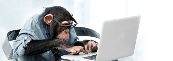 monkey_biz_chimp_wide.jpg