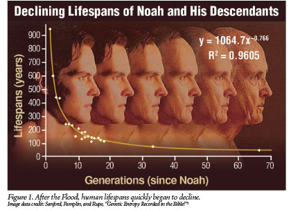 Where Could Adam S Sons Find Wives The Institute For Creation