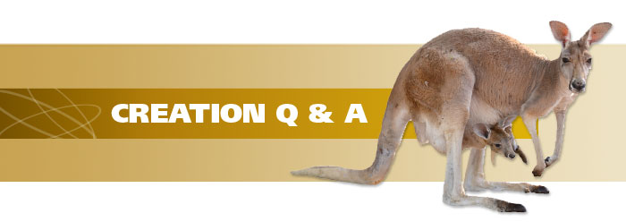 Why Do Kangaroos Live Only in Australia? Institute Creation Research