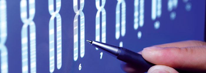 Human-Chimp Genetic Similarity: Refuting the Appeal to Human Genetic Testing