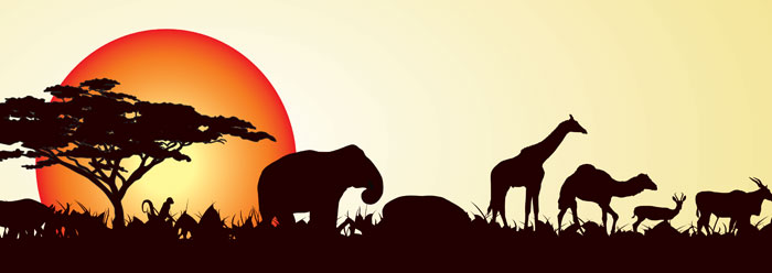 Speciation and the Animals on the Ark | The Institute for Creation Research