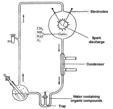 apparatus