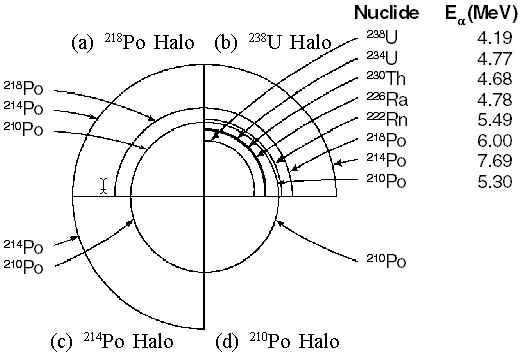 Radio Halo