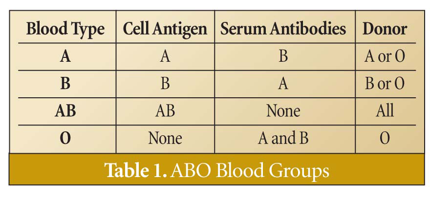 Animal Blood Types Chart