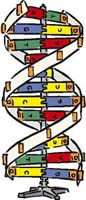 DNA