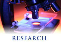 Research at ICR