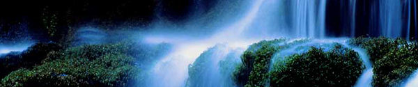 Click here to see the web version of this Days of Praise