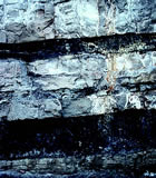 Coal seams near Price, Utah.  The lower seam is about 3' thick.
