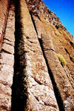 Vertical columns 40' high at Giant's Causeway in Ireland.