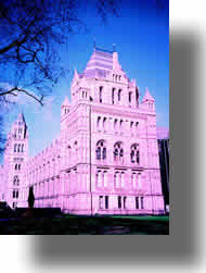 The Natural History Museum of Great Britian, London, England